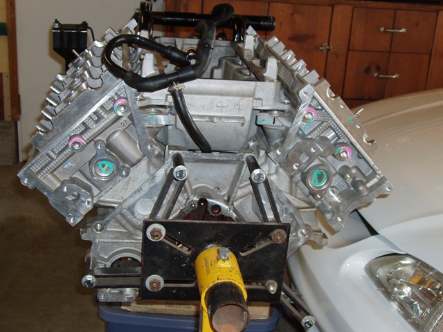 Heads On Rear