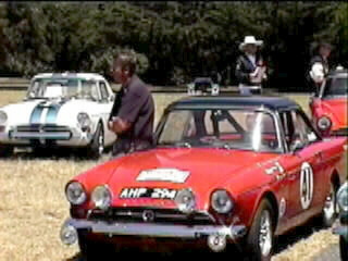 Tiger Concours